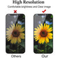 iPhone 11 reemplazo de pantalla LCD y digitalizador - iPhone 11 LCD Screen Replacement and Digitizer