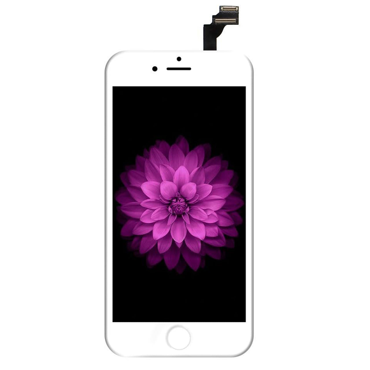 iPhone 6 Plus reemplazo de pantalla LCD de 5.5” - iPhone 6 Plus 5.5" LCD Screen Replacement